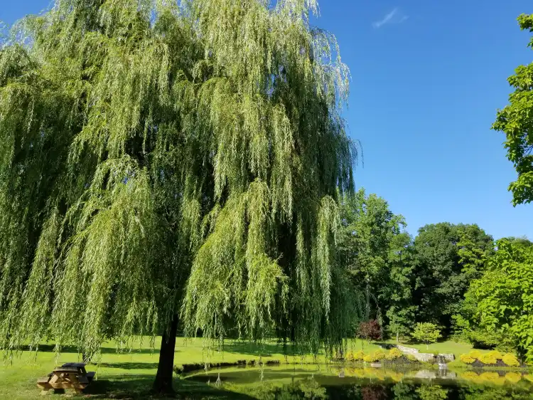 Các khách sạn ở Marlborough