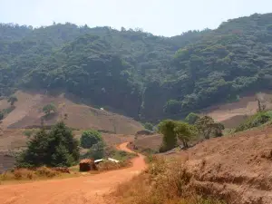 Mount Oku