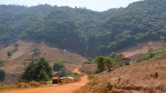 Mount Oku
