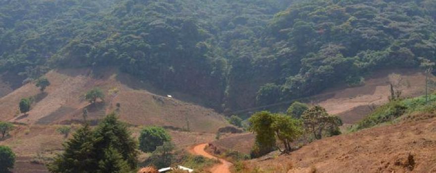 Mount Oku