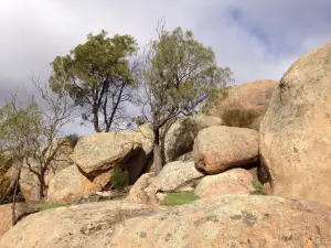 Kooyoora State Park