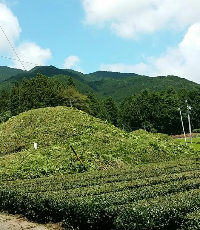 Ikeda