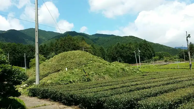 Các khách sạn ở Ikeda