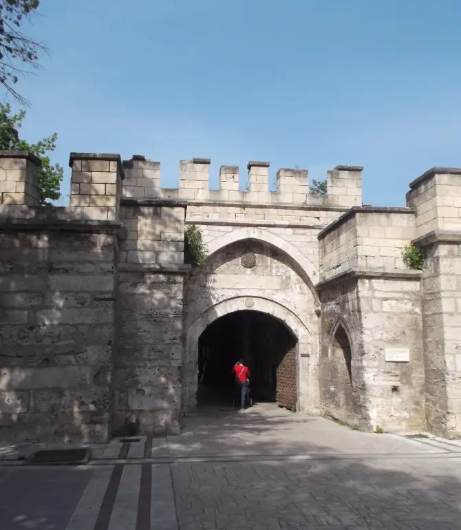 Vidin