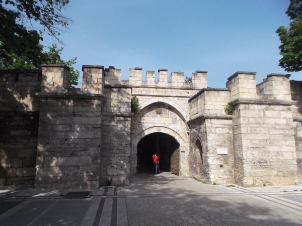 Vidin