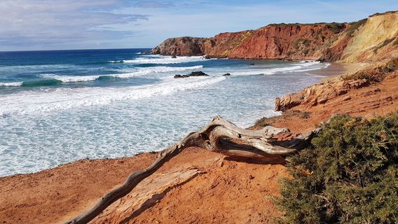 Praia do Amado