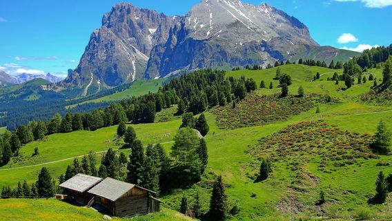 Seiser Alm - Alpe di Siusi