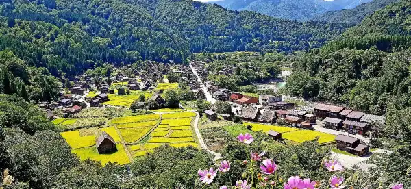 Hotels in Ono District