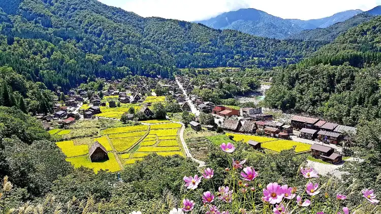 Hotels in Ono District