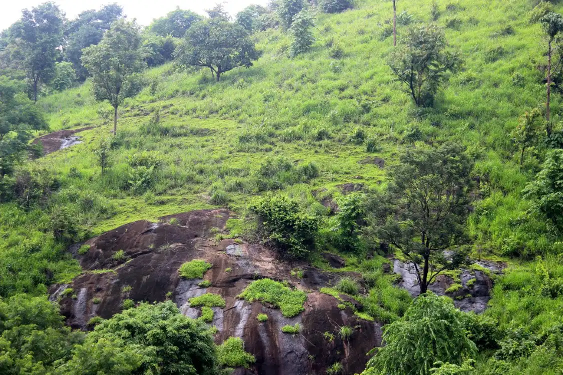 Hotels near Kodikuthimala
