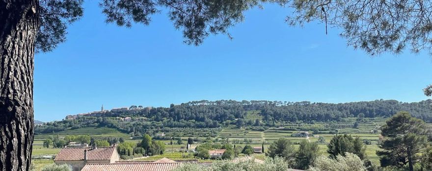 Domaine Lou Capelan