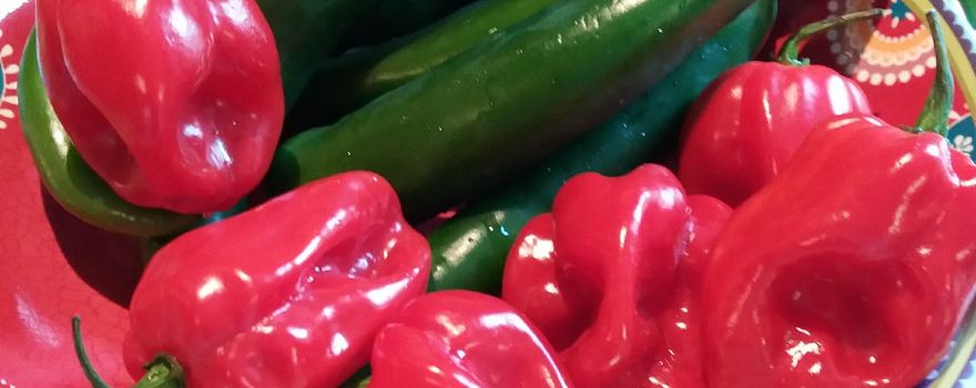 Chillis and Spice