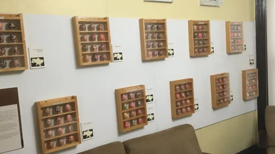 Ukrainian Museum-Archives