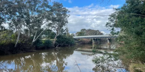 Herb Guyatt Sanctuary