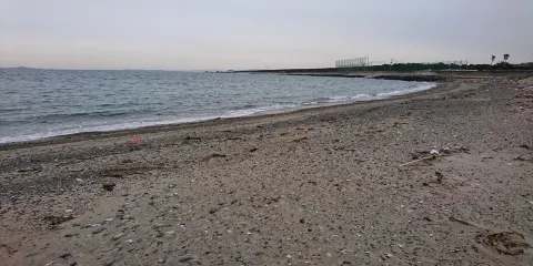 Coconuts Beach Irago