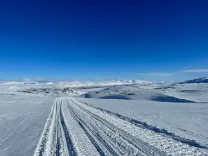 Outback Abisko
