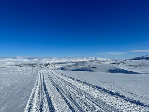 Outback Abisko