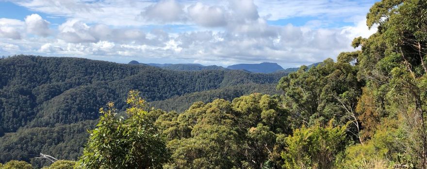 Wunburra Lookout