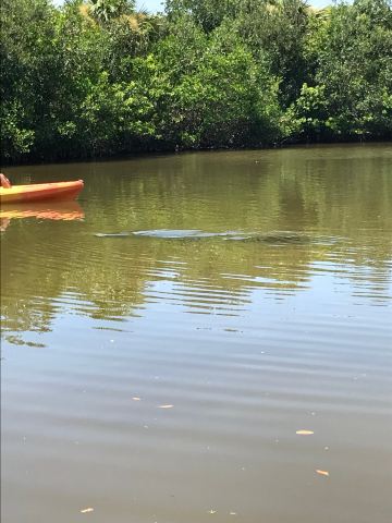 Manatee Cove Park
