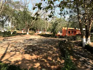 Parqueologico De La Flora Y La Fauna