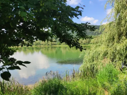 Nichnyy Klub "Vidpochynok"