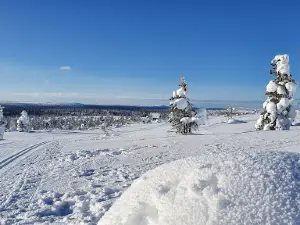 Kaunispää Triangulation Tower