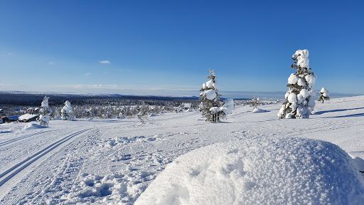 Kaunispää Triangulation Tower