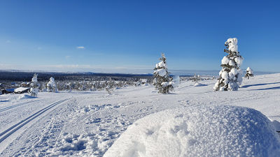 Kaunispää Triangulation Tower