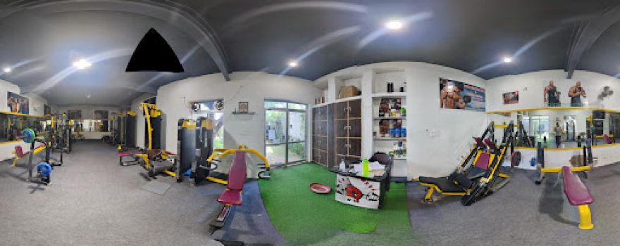 Lion fitness gym