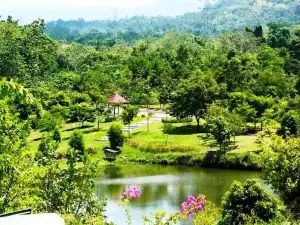 Katingan Botanical Garden