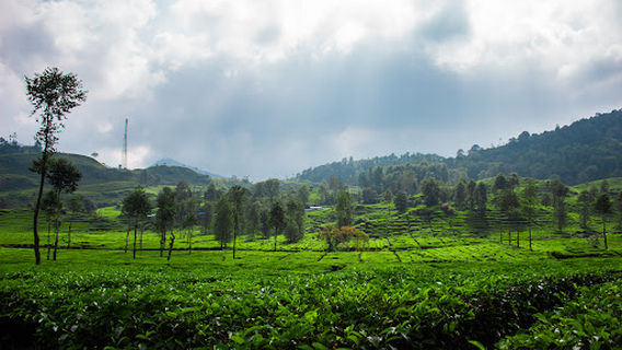 Mount Patuha