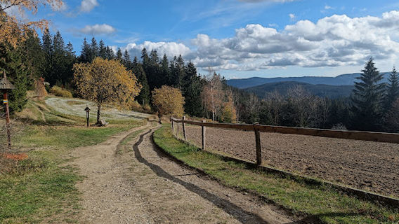 Velké Karlovice
