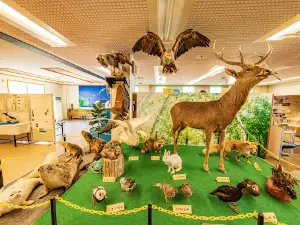 Nemuro City Northern Territory Museum