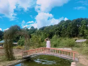 Hoa Mường Phăng