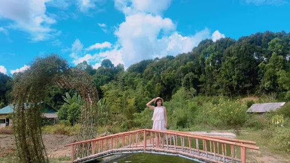 Dien Bien Phu