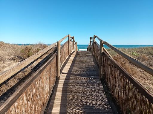 Dunes de la platja de Guardamar de La Safor