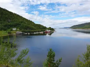 Bjørkvik camping
