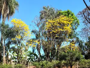 Botanical Garden Grove