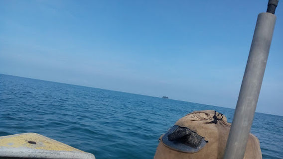 Papar