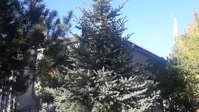 Selimiye Regional Park