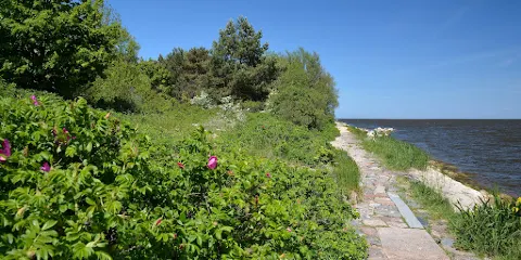 Nature Reserve Mewia Łacha