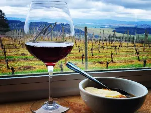 J Wrigley Vineyards