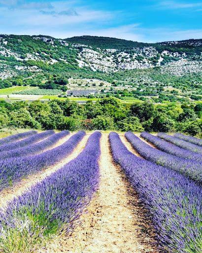 Camping La Simioune Vaucluse & Drôme Provençale