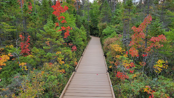 Parking for Bangor City Forest and Orono Bog Walk