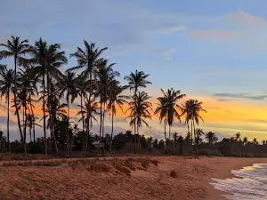 Kudawa Beach Kalpitiya
