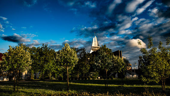 The Roman Catholic Church of Our Lady Mother of the Church