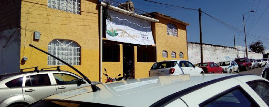 Iglesia De Jesucristo Palabra Miel, Metepec