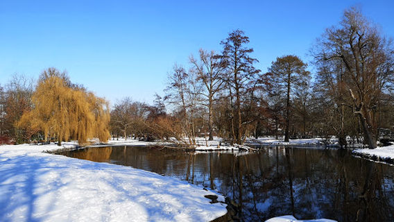 Парк Беллер