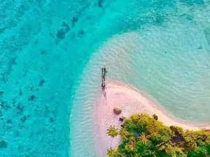 Magoodhoo