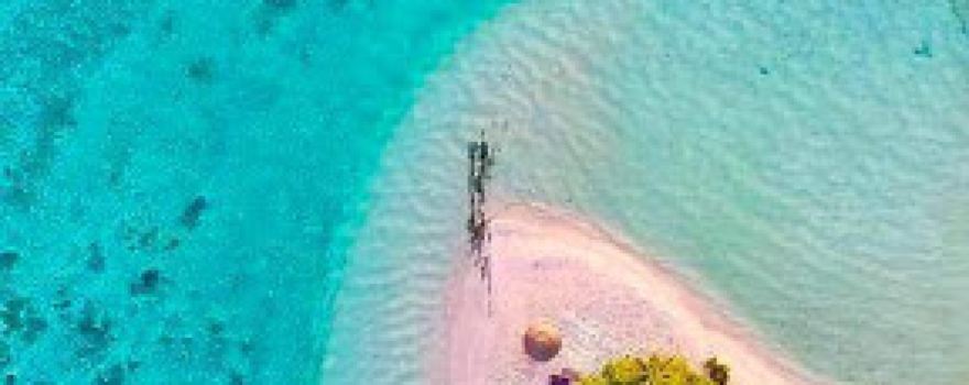 Magoodhoo